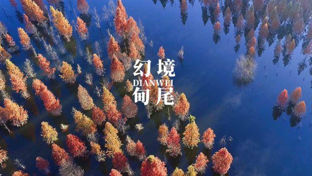 25岁女孩兼职当伴娘22次 一单300元 目前预约订单已排到2月份……